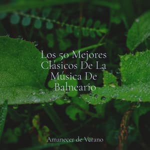Los 50 Mejores Clásicos De La Música De Balneario - Musica para Bebes