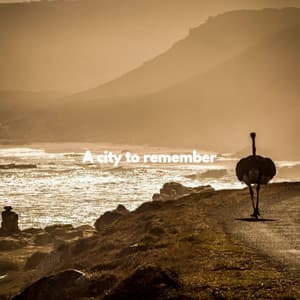 A city to remember - Cooking Music