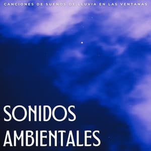 Sonidos Ambientales: Canciones De Sueños De Lluvia En Las Ventanas - Sueños Triplete