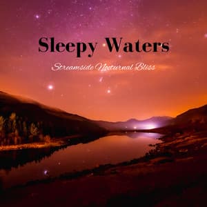 Sleepy Waters: Streamside Nocturnal Bliss - Deep Sleep Music Company