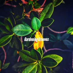 Gardening Grooves - Light Dinner Music