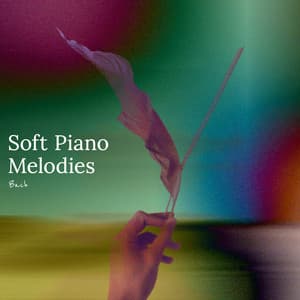 Soft Piano Melodies - Bach