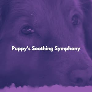 Puppy's Soothing Symphony - Calming Dog Jazz