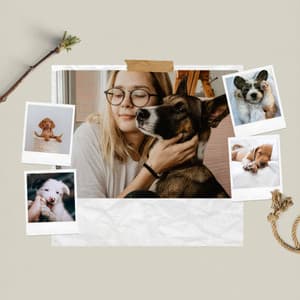 Cozy Dogs - Music - Relaxing Dog Music Playlists