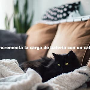 Incrementa la carga de batería con un café - Jazz Afternoons