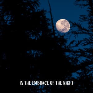 In the Embrace of the Night: Sleepy Mood, Real Dreams, Music for Evening Relief - Sleep Cycles Music Collective