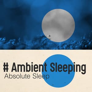 # Ambient Sleeping - Absolute Sleep
