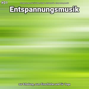 #01 Entspannungsmusik zur Erholung, zum Einschlafen und für Yoga - Entspannungsmusik für tiefen Schlaf