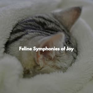 Feline Symphonies of Joy - Jazz Instrumental Lisboa