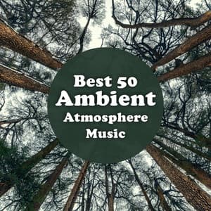 Best 50 Ambient Atmosphere Music: Top 100, Selection of Nature Sounds, Relaxation, Meditation, Sleep Music - Nature Sounds Universe