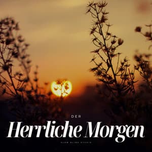 Der Herrliche Morgen - Entspannings und Schlaf Musik