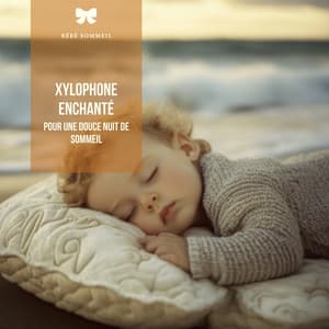 Xylophone enchanté pour une douce nuit de sommeil - Bébé Sommeil