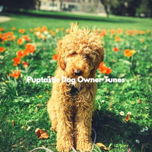 Puptastic Dog Owner Tunes - Relax My Puppy