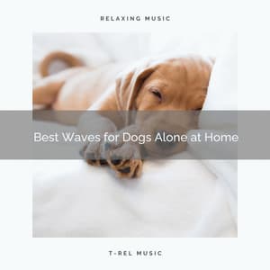 2021 Best Waves for Dogs Alone at Home - Relax My Dog Music