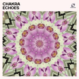 Chakra Echoes - Healing Frequencies