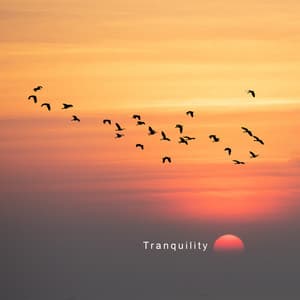 Tranquility: Slow Music for Relaxation and Meditation - Yoga Relaxation Area