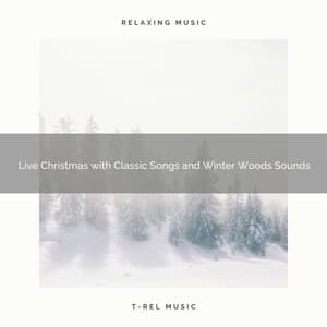 Live Christmas with Classic Songs and Winter Woods Sounds - The Outdoor Library