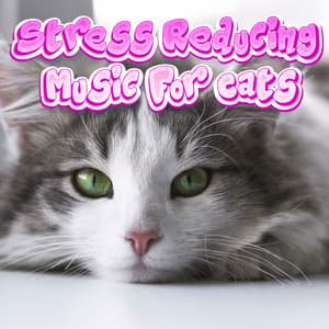 Extremely Soothing Cat Therapy Music Relax Your Cat - Stress Reducing Music For Cats