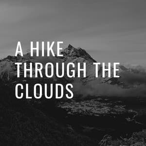 A Hike Through the Clouds - Beach Top Sounders