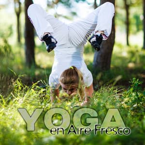 Yoga en Aire Fresco - La Mejor Música para la Meditación y la Relajación del Yoga, Ejercicios de Respiración, Técnicas de la Relajación, Yoga & Pilates - Academia de Música de Yoga Pilates
