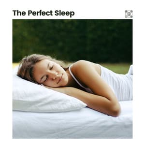 The Perfect Sleep - Deep Sleep Relaxation