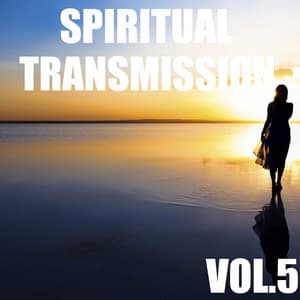 Spiritual Transmission, Vol.5 - Tai Chi