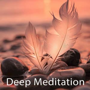Deep Meditation - Spa Music & Meditation Collective
