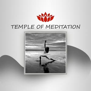 Temple of Meditation – Deep Water Sounds, Yoga Exercises, Healing Meditation, Soothing Nature Sounds, Music for Meditation, Reiki Music - Deep Meditation Music System