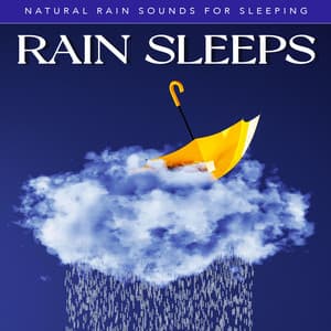 Rain Sleeps - Natural Rain Sounds for Sleeping