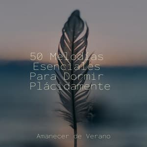 50 Melodías Esenciales Para Dormir Plácidamente - Musica Romantica Ensemble