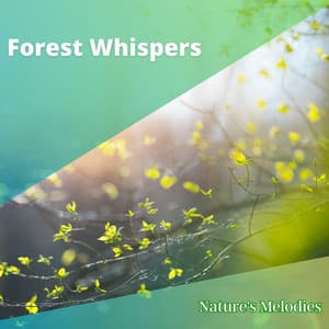 Forest Whispers - Nature's Melodies