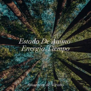 Estado De Ánimo Energía Tiempo - Guitarra Clásica Española
