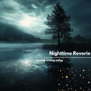 Nighttime Reverie: Ethereal Night Sounds - Night Nature Sounds
