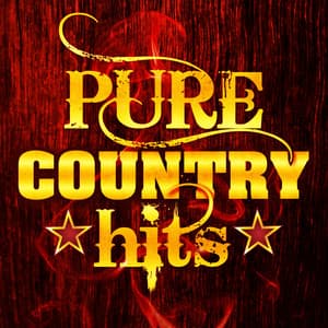 Pure Country Hits - Top Country All-Stars