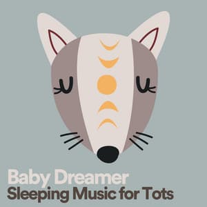 Baby Dreamer Sleeping Music for Tots - Bedtime Lullabies