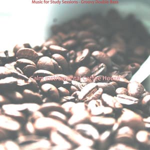 Music for Study Sessions - Groovy Double Bass - Calm Instrumental Coffee House
