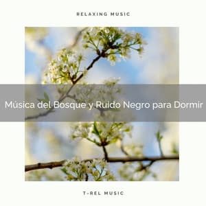 Música del Bosque y Ruido Negro para Dormir - Ruido Para Bebé
