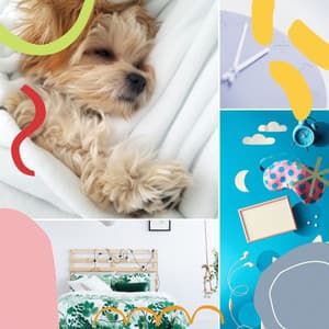 Music for ASMR Sleep - World Music - Nature Recordings