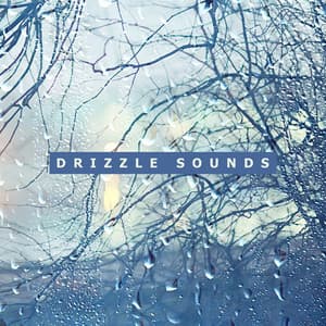 Drizzle Sounds: Relaxing Falling Rain to Deeply Relax and Fall Asleep - Calming Water Consort