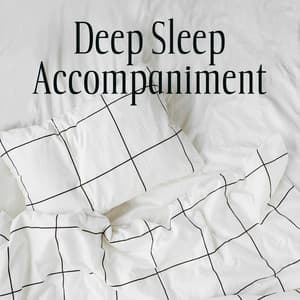 Deep Sleep Accompaniment - Rita Chakram