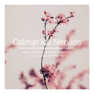 Calmar los Nervios: Música New Age para Relajar la Mente y el Cuerpo y Eliminar Tensiones - Noche de Paz