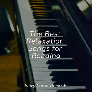 The Best Relaxation Songs for Reading - Ivory Mood