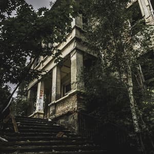 Shadows' at Dusk - Solis Reverie