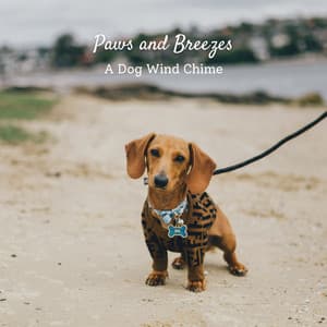 Paws and Breezes: A Dog Wind Chime - Soothing Air