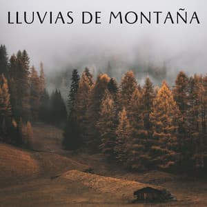Lluvias De Montaña - Musica Lluvia Tranquila