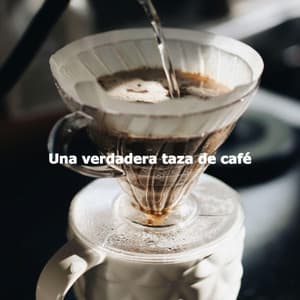 Una verdadera taza de café - Jazz Vibe Duo