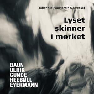 Lyset skinner i mørket - Johannes Konstantin Neergaard