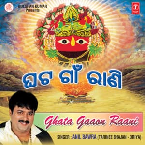 Ghata Gaaon Raani - Anil Bawra