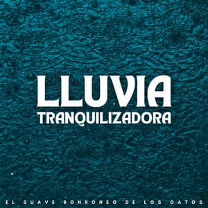 Lluvia Tranquilizadora: El Suave Ronroneo De Los Gatos - Sonido de lluvia ASMR
