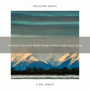 Christmas Time in the Winter Woods is Magical with Classic Songs - Water Soundscapes